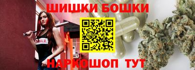 гашик Можга