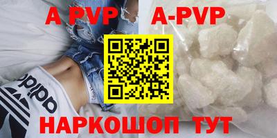 гашик Можга