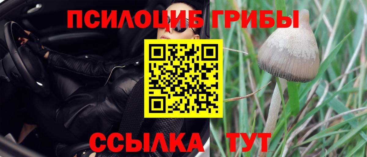 Псилоцибиновые грибы GOLDEN TEACHER Черногорск